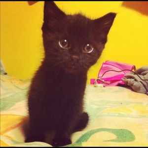 Meet your Posher, Maranda